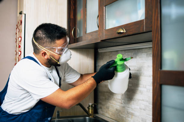 Best Bed Bug Extermination  in Porters Neck, NC