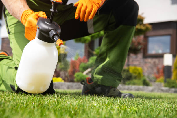 Best Affordable Pest Control Services  in Porters Neck, NC