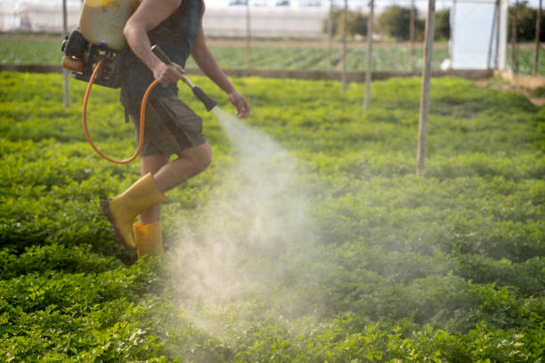 Best Residential Pest Control  in Porters Neck, NC