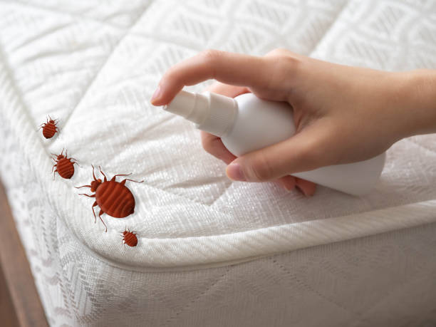 Best Pest Removal Services  in Porters Neck, NC