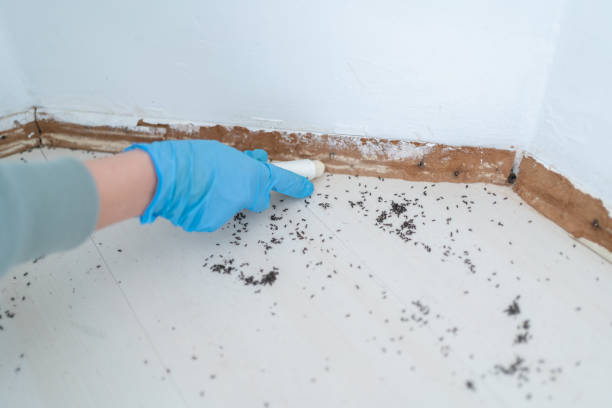 Best Pest Inspection Near Me  in Porters Neck, NC