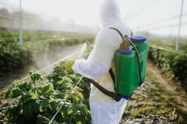 Porters Neck, NC Pest Control Company